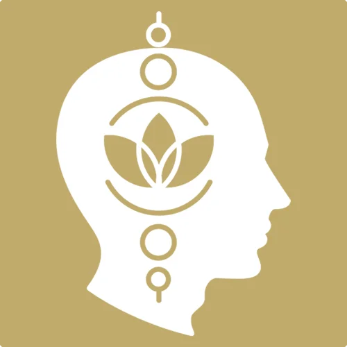 Holistic Approach